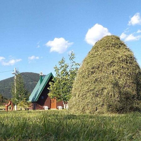 Etno Koliba Nikoleta Villa Žabljak Buitenkant foto