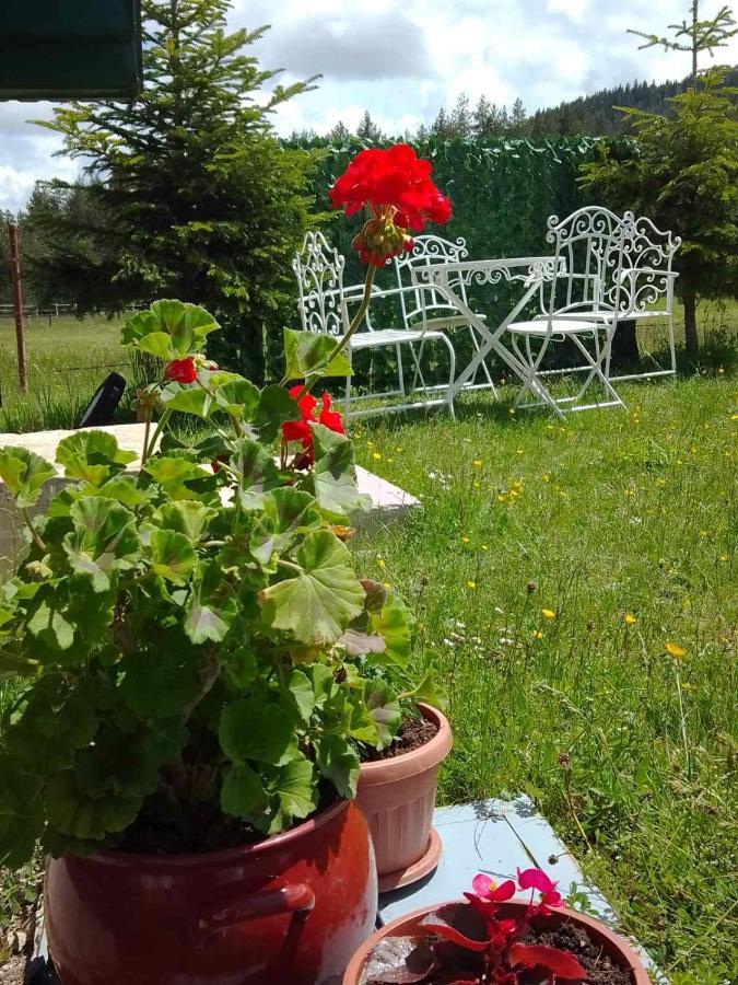 Etno Koliba Nikoleta Villa Žabljak Buitenkant foto